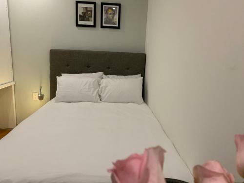 Albergue Hostal Top Location Ideal Para Viajeros Polanco