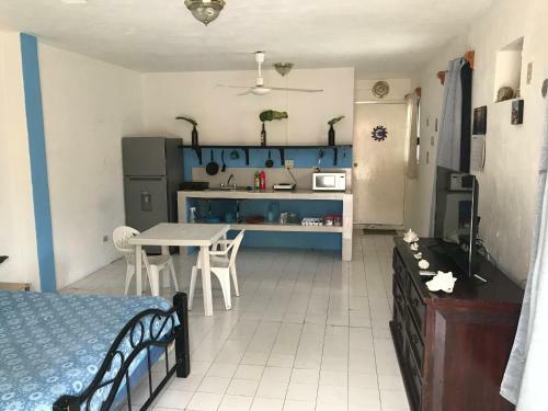 Apartamento Precioso Loft En El Coraz�n de Cozumel