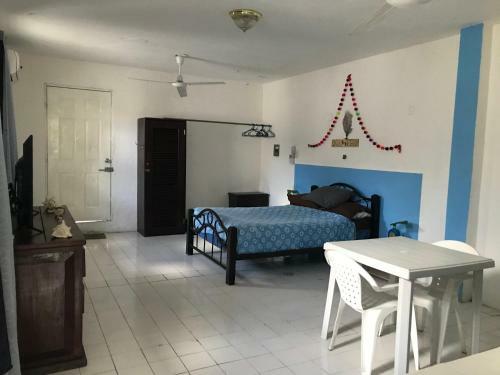 Apartamento Precioso Loft En El Coraz�n de Cozumel