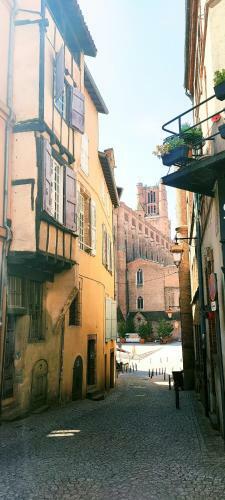Apartamento Le Dandy - Hyper Centre - Albi