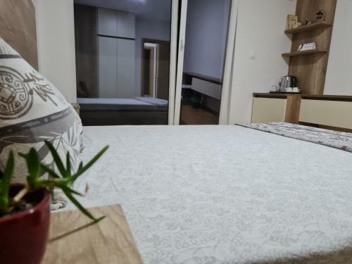 Bojana Apartment Penthouse