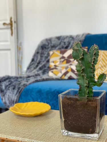 Apartamento Studio Typique Ami�nois - Proche de La Gare