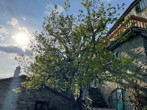 Apartamento Casa Di Nonno Mem� Citra 008035-lt-0018