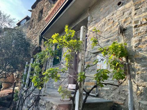 Apartamento Casa Di Nonno Mem� Citra 008035-lt-0018