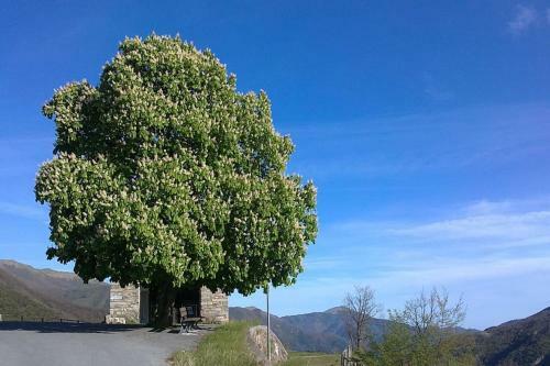 Apartamento Casa Di Nonno Mem� Citra 008035-lt-0018