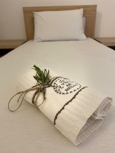 Apartamento Guest House Pocanic