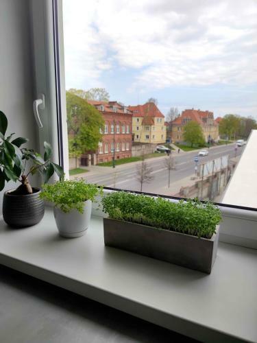 Liep? Apartamentai Centre