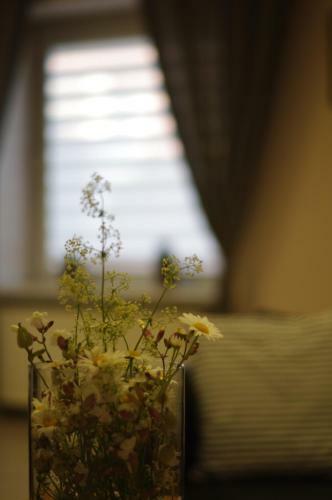 Vasaros Apartamentai Rueda