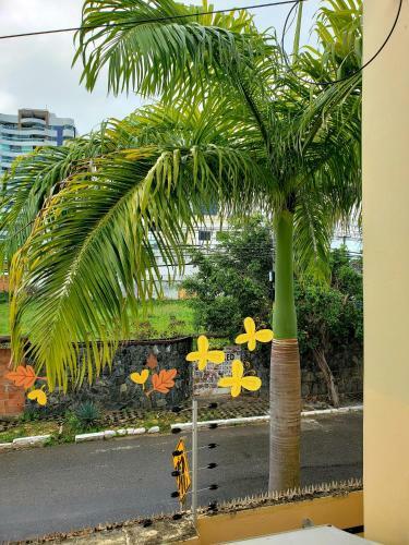 Apartamento Apto Confort�vel Pr�ximos A Orla E de Tudo Que Precisar.