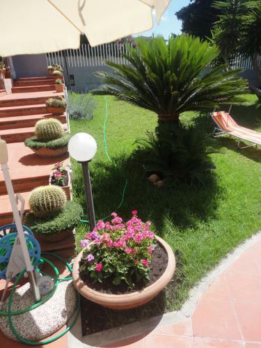 Bed & Breakfast Acquamarina