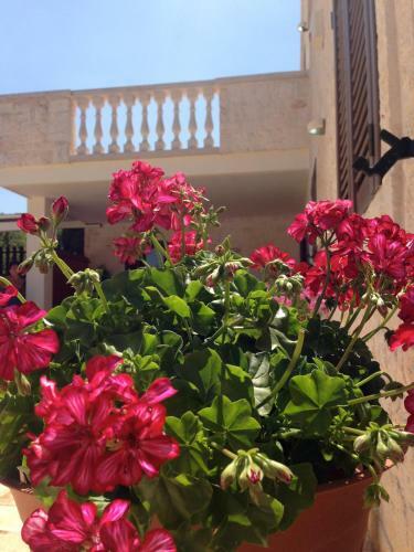B&B Villa Grassi
