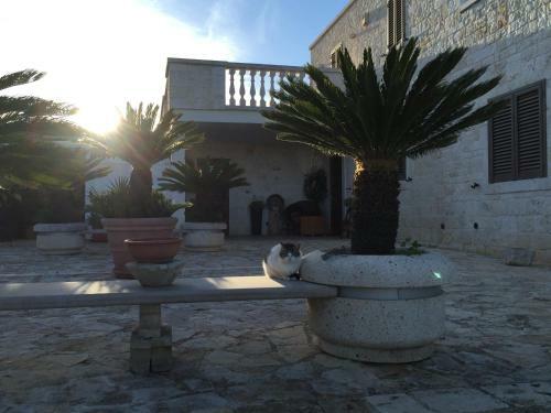 B&B Villa Grassi