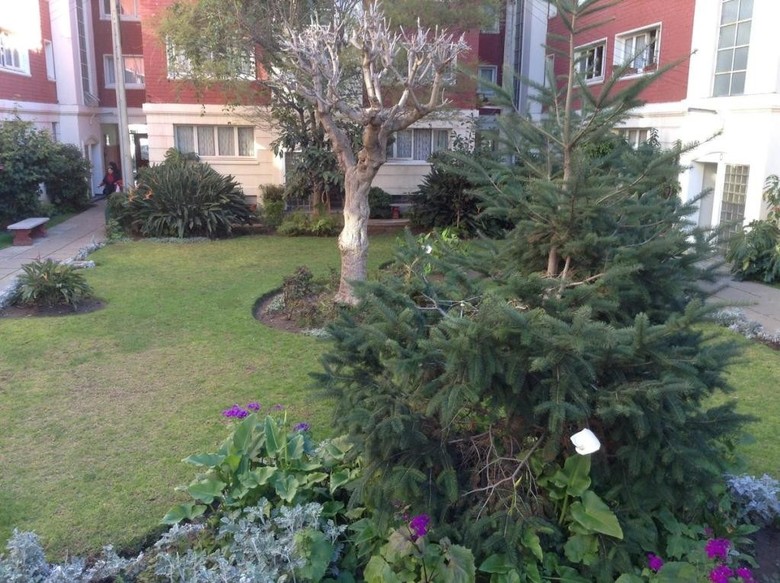Apartamento De La Barra, Arriendos Vista Mar