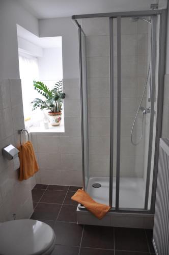 Hostal Triebenerhof
