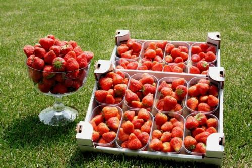 Agroturismo Corte Breda, Agriturismo Bed&breakfast