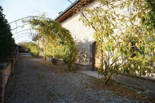 Agroturismo Corte Breda, Agriturismo Bed&breakfast