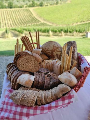 Agroturismo Fattoria La Loggia