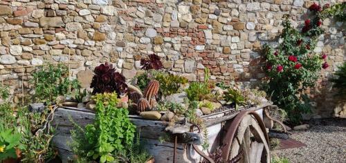 Agroturismo Fattoria La Loggia