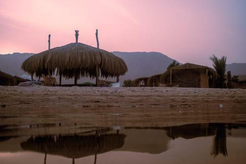 Hotel Ashry Oasis