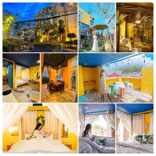 Hotel Alee Dalat Homestay