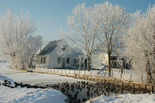 Bed & Breakfast Amsterdam Farmland