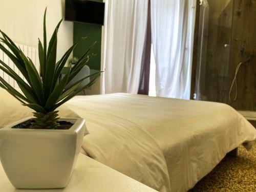 Apartamento Casa Manfredi