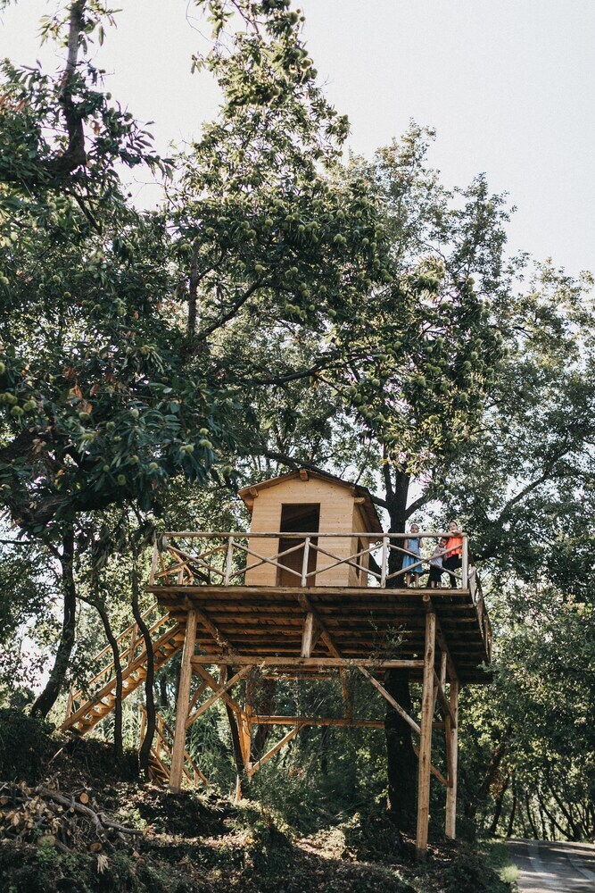 Agroturismo Monaci Delle Terre Nere