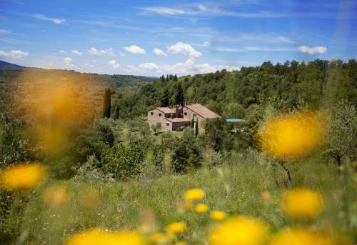 Agroturismo Allegro Agriturismo Argiano
