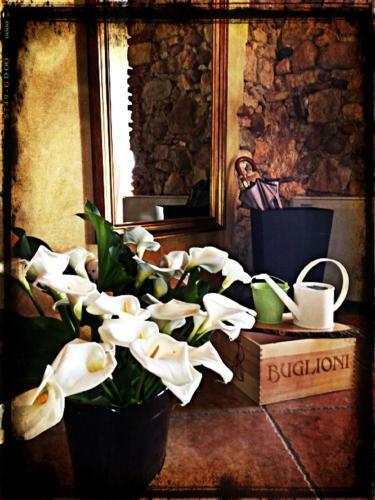 Agroturismo Dimora Del Bugiardo