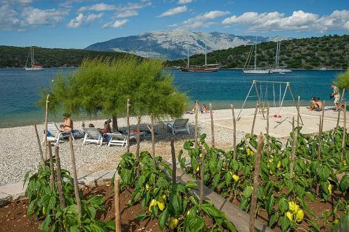 House Ana