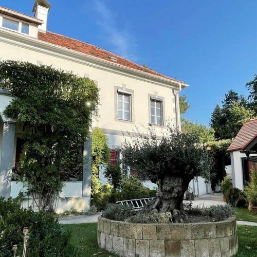 Apartamento Loft �propos