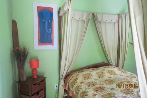 Bed & Breakfast Monkey Lodge Panama