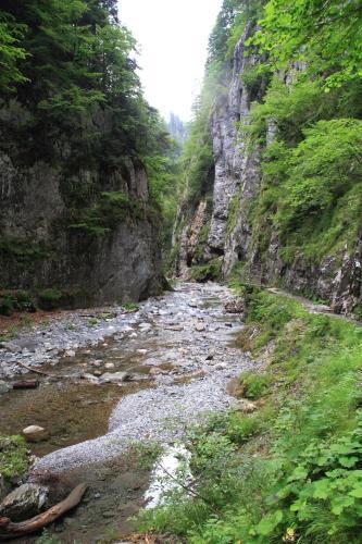 Hostal Alpenhof Strenge
