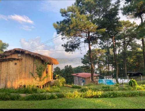 Bed & Breakfast Odyssey's Umbir Resort And Caf�