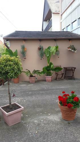 Apartman Bal�zs