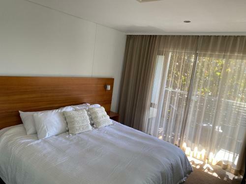 Apartamento Magenta506