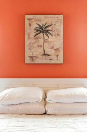Hostal Cotee River Tiki Hut