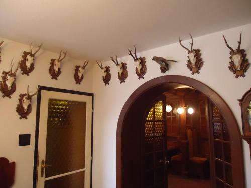 Hostal Cola Panzi�