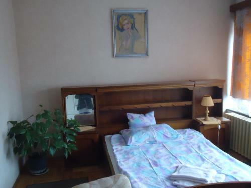 Hostal Cola Panzi�