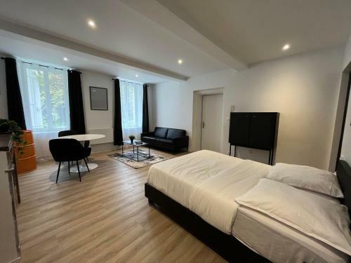 Apartamento Appartement Pierre Fabre - Elegant - Centre Ville