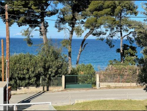Angie's Seafront House In Akti Elia