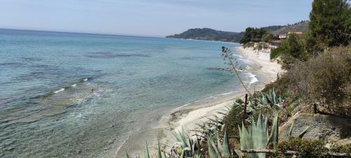 Groundfloor Apartment In Mola