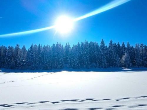 Pines On The Pond By Casago Mccall - Donerightmanagement