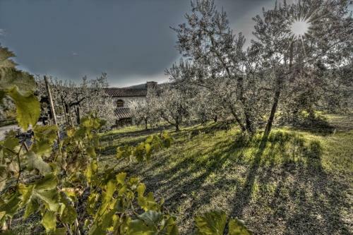 Agroturismo Agriturismo Sottotono