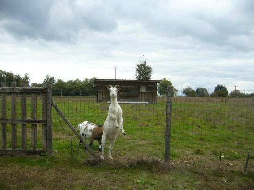 Apartamento Appartement Le Domaine Des Libellules Proche Walibi