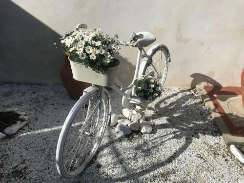Apartamento La Nostra Casa A Marina Di Pisa