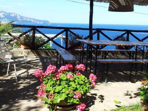 Villa Tessa's Holiday