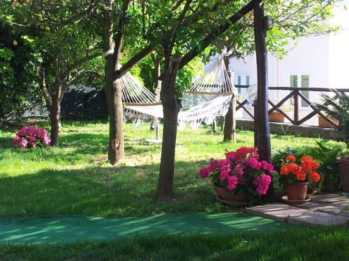 Villa Tessa's Holiday