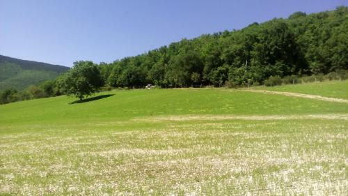 Agroturismo Agriturismo Il Casale Degli Amici