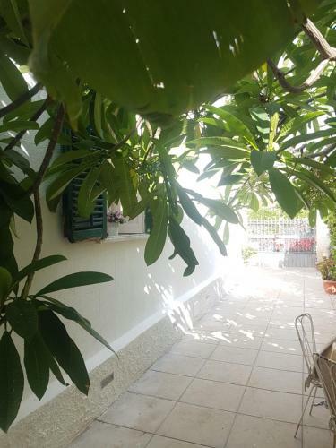 Hostal Green House Beach
